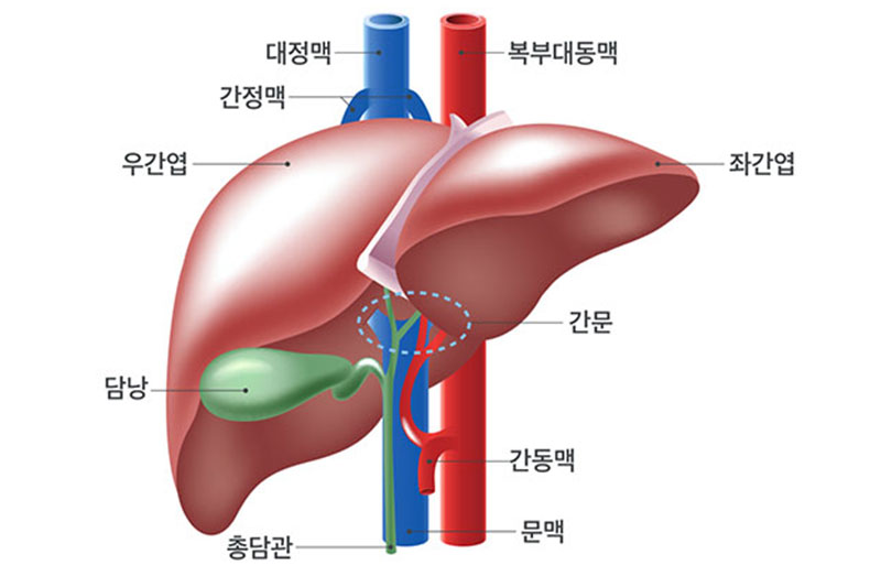 발생부위