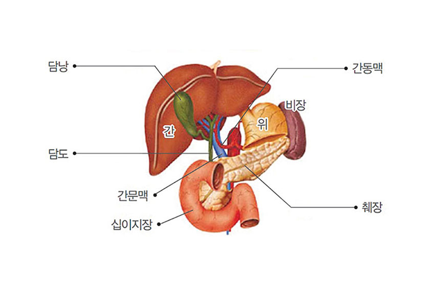 발생부위