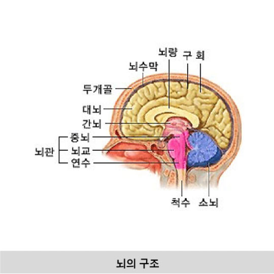 흡연 