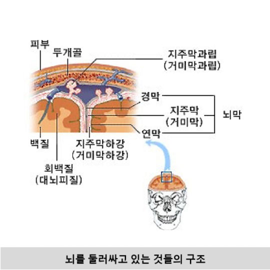 유전